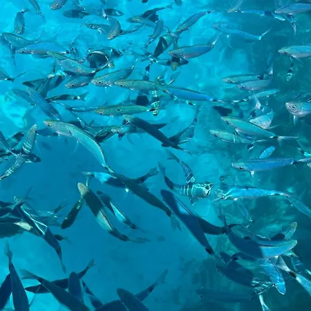 Apartment Davide's Escape Siniscola