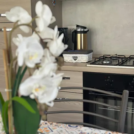 Davide's Escape * Siniscola